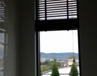 blinds 12